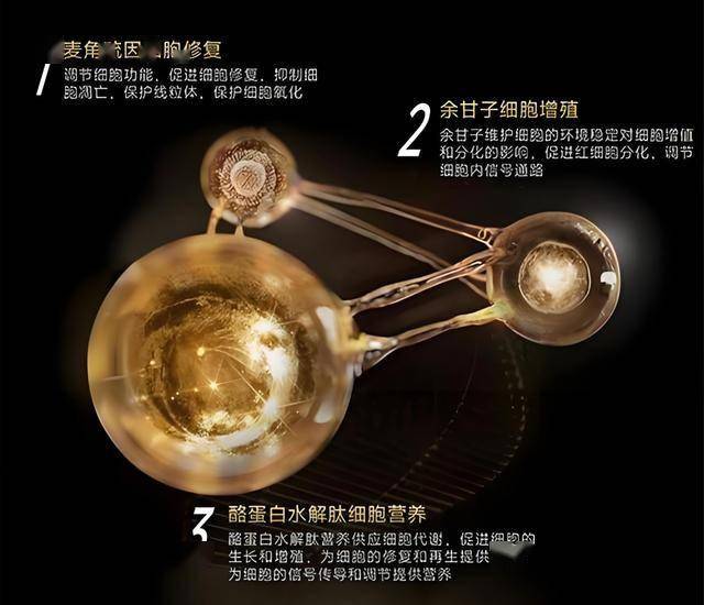 蓝莓外汇平台怎么代理我用了3个月，掌握了5个短线交易技巧抓住市场机会